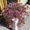 2-Pack Artificial Hanging Flowers for Outdoors – UV-Resistant, Realistic Faux Plants for Front Door, Porch, Planters, Patio, and Garden (Red & Purple)